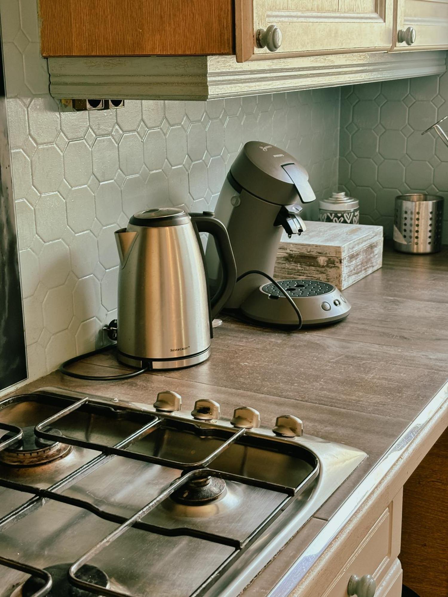 Duplex Avec Jardin - Proche Paris - Disneyland - Rer - ノワジー＝ル＝グラン エクステリア 写真